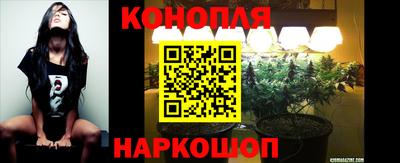 spice Нальчик