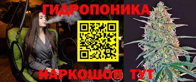 spice Нальчик